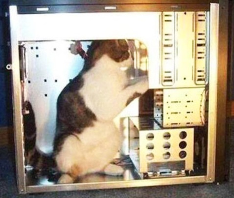 dont-worry-im-from-tech-support-cat-fixing-computer-1022359610.jpg