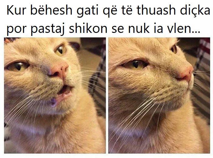 Kur bëhesh gati që të thuash diçka por pastaj vendos se nuk ia vlen....jpg