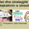 Stilet dhe strategjitë për tejkalimin e stresit